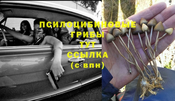 герыч Алзамай