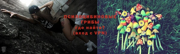 герыч Алзамай