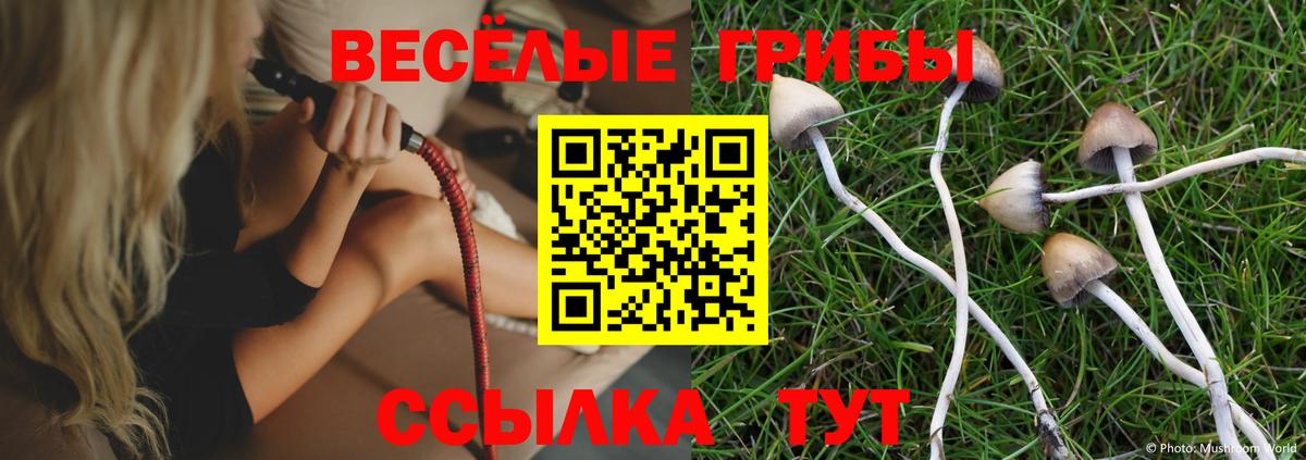 Джанкой  Псилоцибиновые грибы Cubensis  Вход с VPN 
