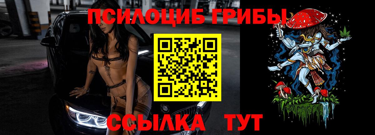 Псилоцибиновые грибы GOLDEN TEACHER Джанкой
